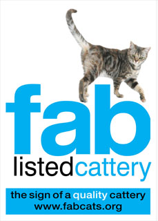 FAB Logo