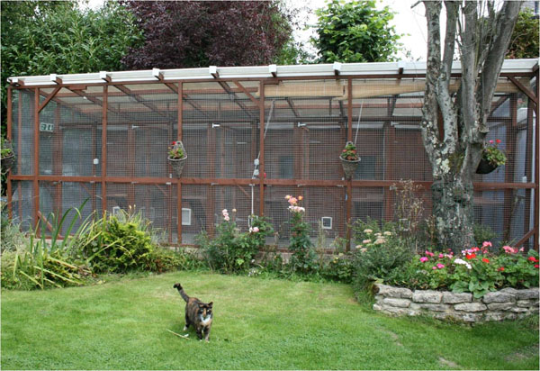 Picture of cattery pens